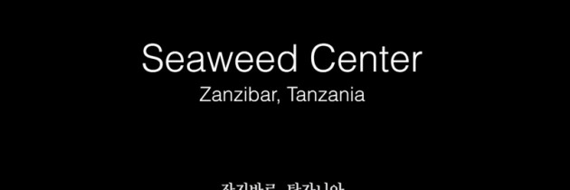 [세계의 사회적 기업]Social Enterprise in Tanzania – Seaweed Center